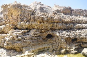 Coarse crossbeds and karst holes in the Coralline limestone, close to the Azure window.