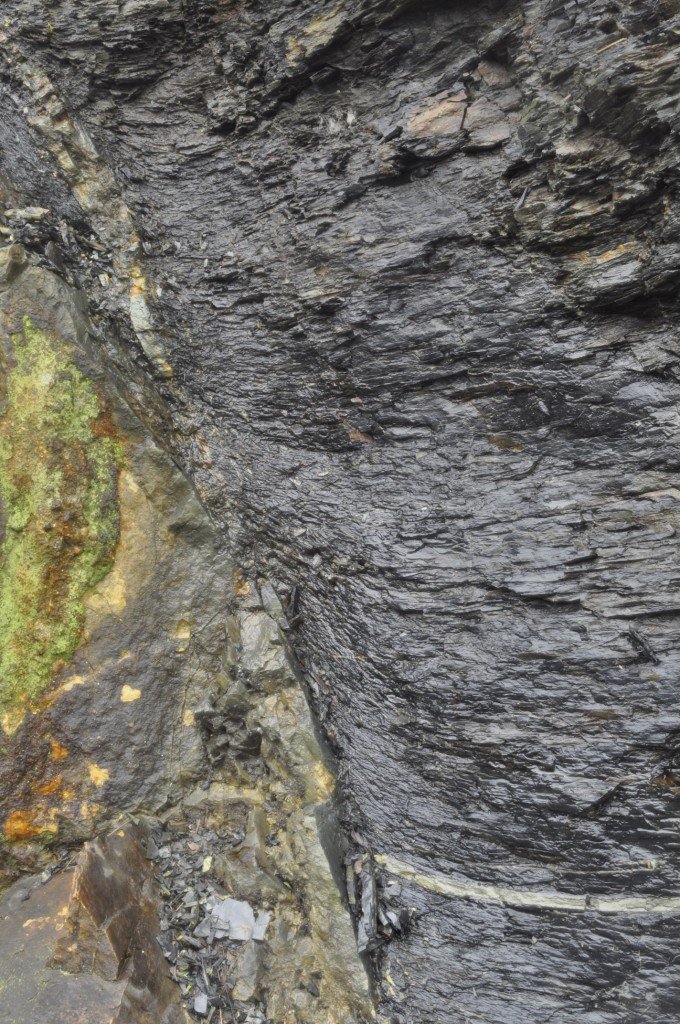 Detail of the drag folds in the black shale; note how the shale to the lower right is bent along the fault plane. In the centre of the picture, flakes of syenite have broken off the sill, and dragged out into the fault plane. 