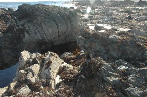 "The Fallen Stack", a 15 meters long block of Devonian Flagstone, in the Jurassic conglomerate. 