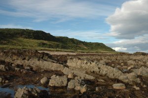 Green hills and a shoreline with coarse and fine sediment beds, near Brora, Scotland: Would you not love to do some field work here?