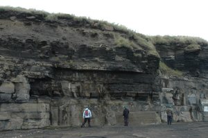Dark shale that once made oil, and lighter grey sandstone. South Head near Wick, Scotland. 