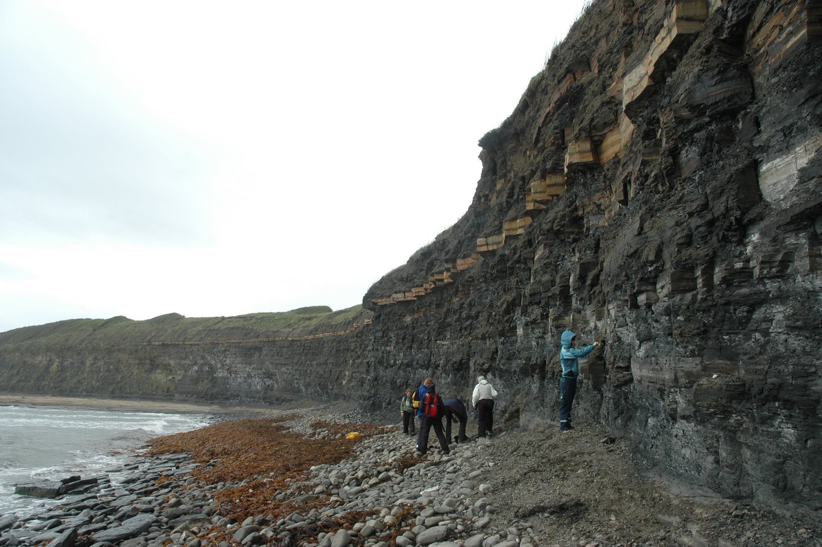 Down by the seaside, geologists poking their noses into zillions of dead algae.
